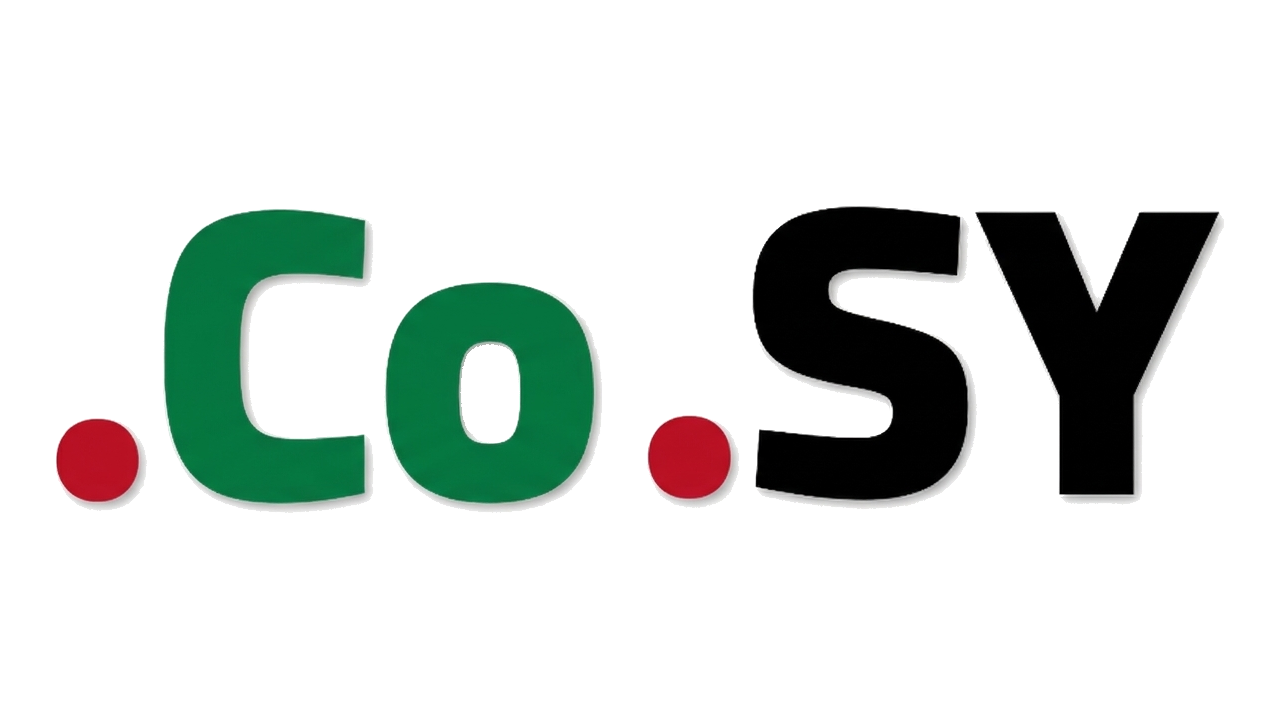 .co.sy